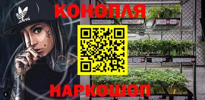 a pvp Заводоуковск