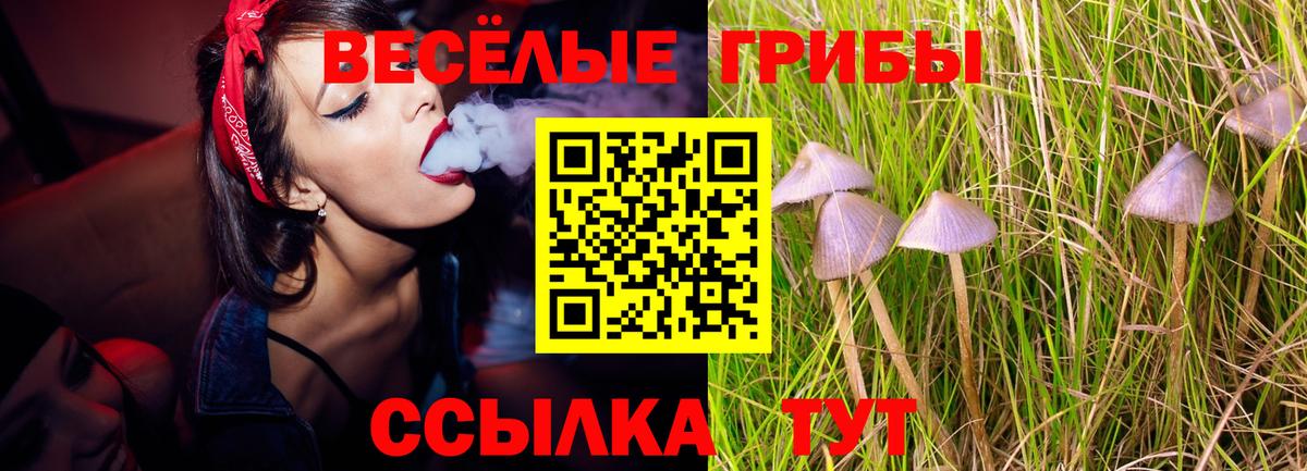 Галлюциногенные грибы Cubensis Лесосибирск